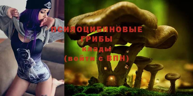 Псилоцибиновые грибы MAGIC MUSHROOMS  Задонск 